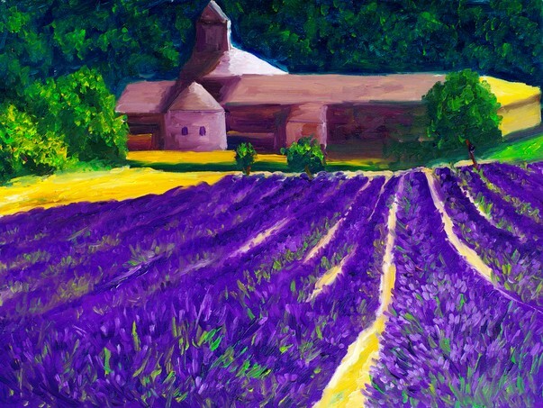 Oil Painting - Countryside_Lavender Farm